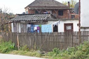 Privedena majka koja je tukla dete, oglasio se CZSR