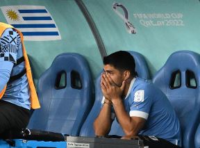 suarez suze  (5).jpg