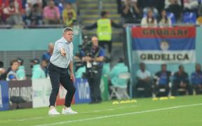 Dragan Stojković Piksi slika na poluvremenu Srbija Švajcarska