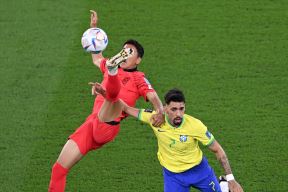 brazil koreja 1.jpg