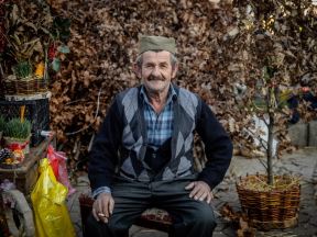 Cene ribe i badnjaka na pijacama