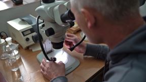 Izložba u Novom Sadu biologa koji je fotografisao 5.000 vrsta živih bića