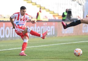 CRVENA_ZVEZDA_vs_CUKARICKI_12.jpg