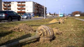 Subotica živi 3.jpg
