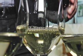 Vino vinski podrum (4).jpg