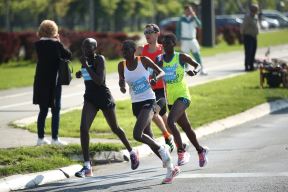 Beogradski maraton