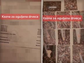 Kazna za ogueljna drveca.jpg
