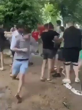 Masovna tuča dece u Zvezdarskoj šumi