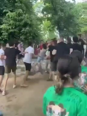 Masovna tuča dece u Zvezdarskoj šumi