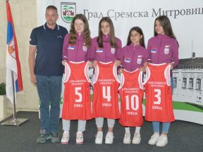 Sremska Mitrovica4.jpg