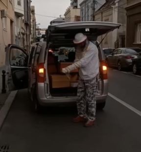 Pčele (2).jpg