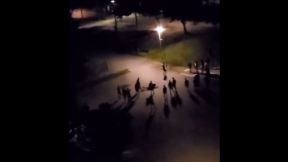 Tuca.png
