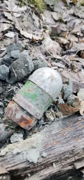 Granate pronašli u šumi dok su brali pečuke (3).jpg