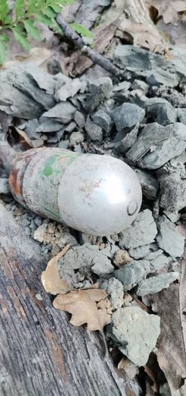 Granate pronašli u šumi dok su brali pečuke (4).jpg