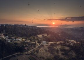 Evia pozar--10.jpg