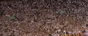 Torcida Hajduk Split