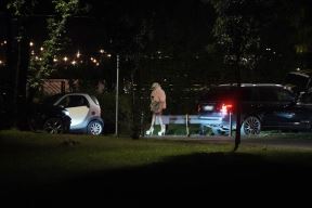Jelenu Karleušu zaustavila policija