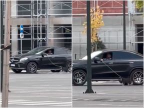 šeta psa kroz prozor automobila