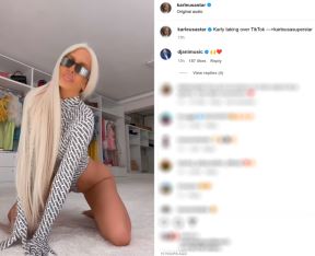 jelena karleuša.jpg