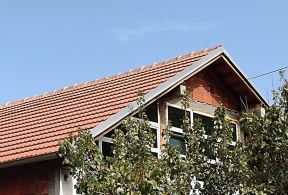 3640210_15557_ff.jpg