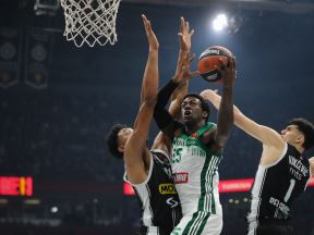 Izgubljeni pas gleda Partizan Panatinaikos u Evroligi