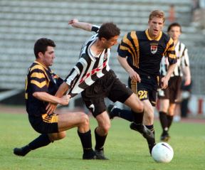 TESOVIC1.JPG