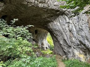 Dobroselica (3).jpg