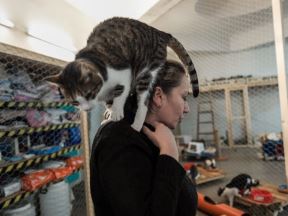 Irena Azil za zivotinje Animal Rescue 3.jpeg