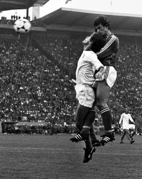 halilhodzic (3).jpg