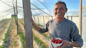 Prve domaće a organske jagode (1).jpg