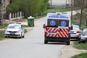 ubistvo danke banjsko polje (4).jpg