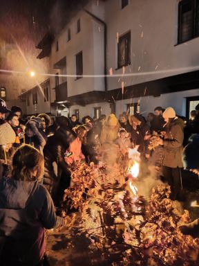 manastir Vraćevšnica (2).jpg