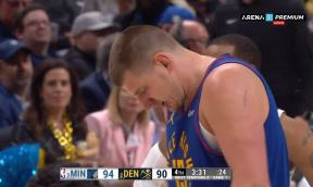nikola jokić šorts.png