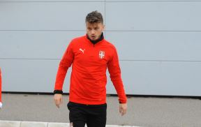 Adem Ljajić