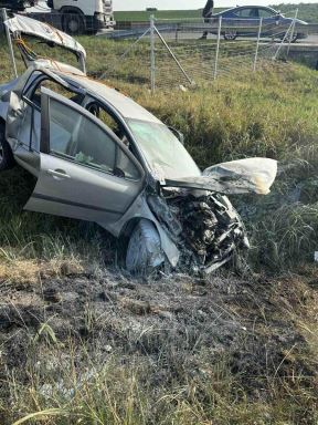 Danijela Zdravković očajnički traži svog psa - Ogija