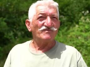 OD BRANJA PEČURAKA MOŽE DOBRO DA SE ZARADI.jpg