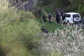 Žalba tužilaštva na oslobađanje Dragijevića u slučaju Danke Ilić