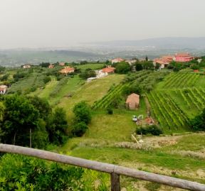 Slovenija Vinska fontana1.jpg
