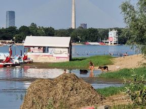 ada ciganlija psi zabrana  (3).jpg