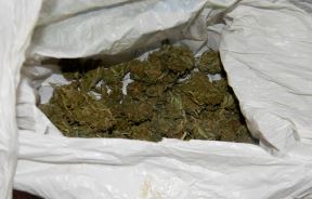 Zaplenjena marihuana i kanabisovo ulje-3.jpg