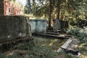tošina_banja_stefan_stojanović_ (10).jpg