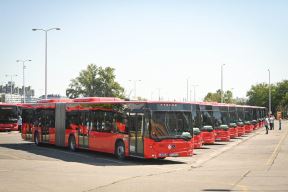 65149.jpg
