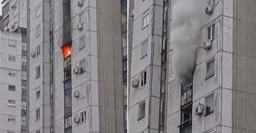 Požar novi beograd.jpg