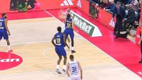 Pas utrčao na parket na utakmici Crvena zvezda Barselona