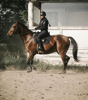 policijska_brigada_četa_konjanika_stefan_stojanović_66.jpg