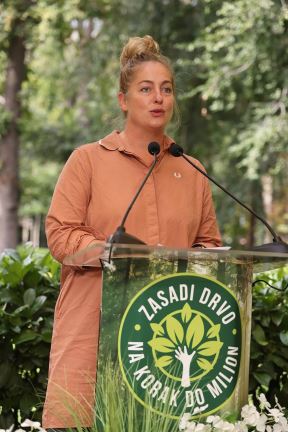Zasadi drvo (3).jpg