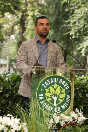 Zasadi drvo (4).jpg