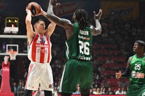 Crvena Zvezda Panatinaikos (3).JPG