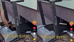 Traka za trčanje za drva.jpg
