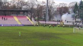 tuca borac smederevo